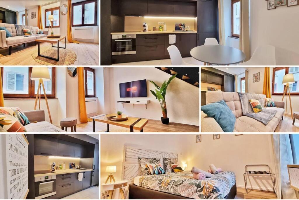 SouthBay Appartement Hyper Centre Mulhouse – photo 4