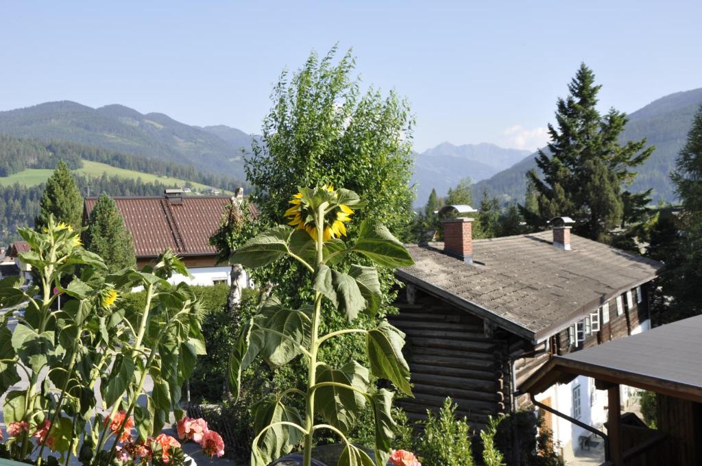 Apartments Radstadt - 18