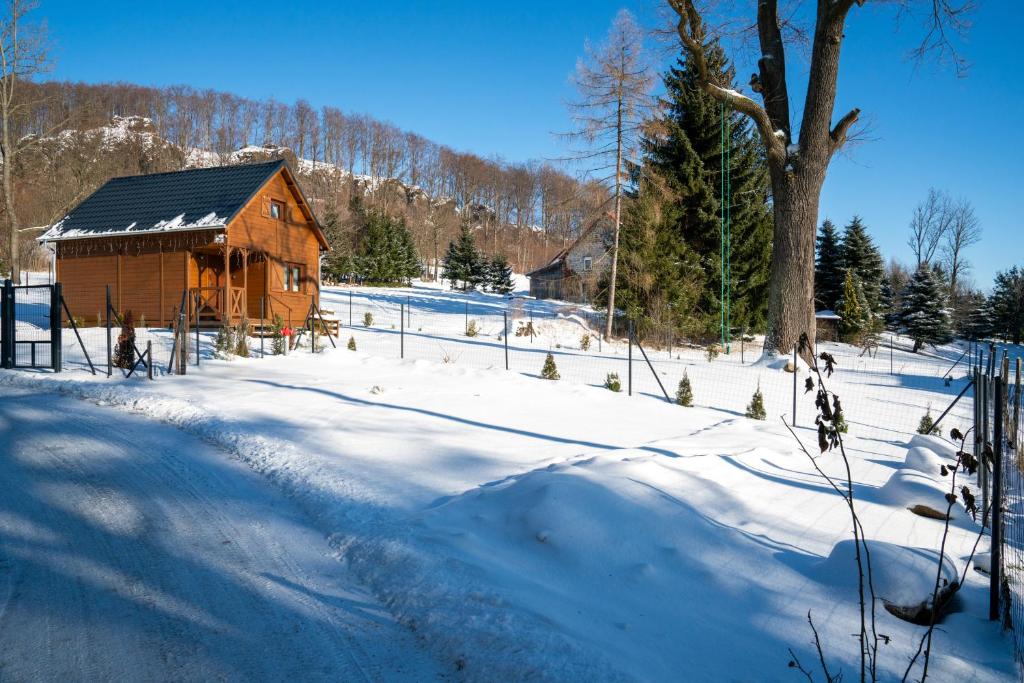 Obiekt Alpejskie domki Karkonosze zimą