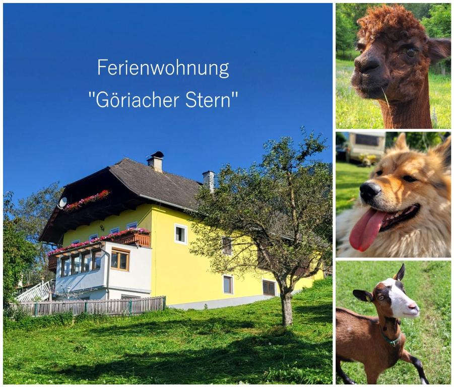 a collage of pictures of a house and a cow at Ferienwohnung Göriacher Stern in Pusarnitz