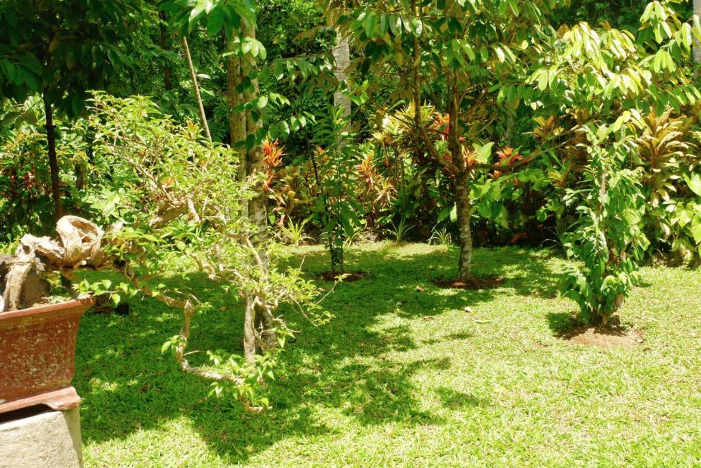 Zahrada ubytování Artja Inn Ubud