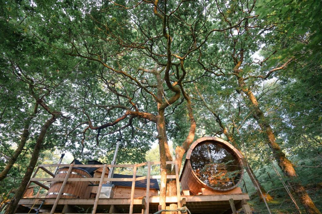 a tree house with a mirror in front of it at Chestnut Tree House with Hot tub & Sauna in Barmouth