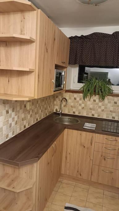 Apartmá Adam的厨房或小厨房