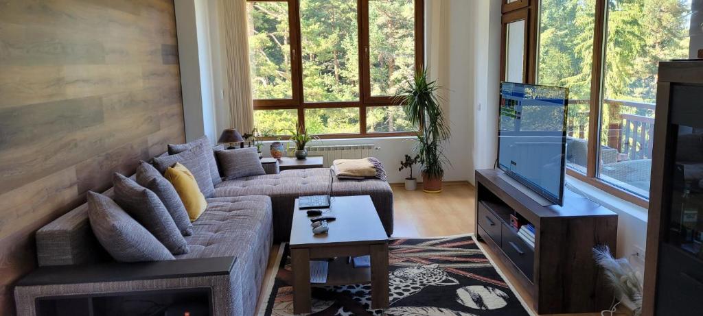 a living room with a couch and a tv at Cozy Rila Park Apartments in Borovets
