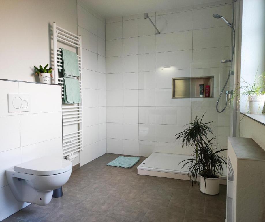 a white bathroom with a toilet and a shower at Lieblingsstube in Welt