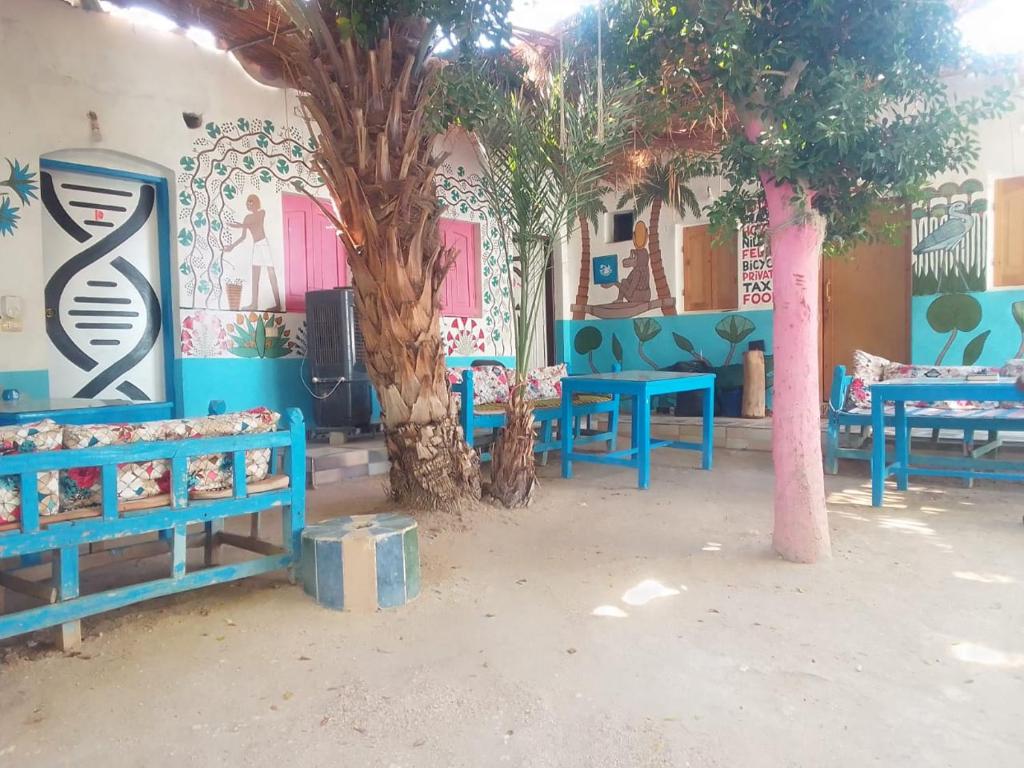 una habitación con bancos azules y un árbol en ella en Al Salam Camp, en Luxor