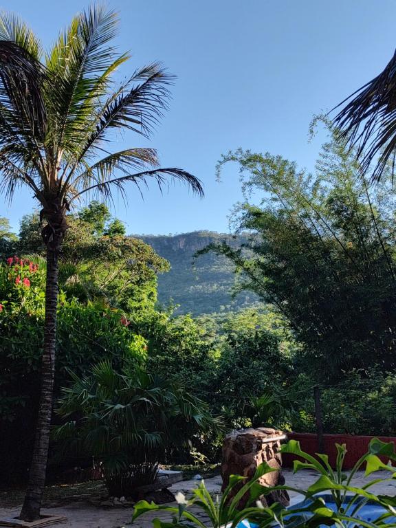 皮雷諾波利斯的住宿－Chácara Vale Dourado，棕榈树,享有山景
