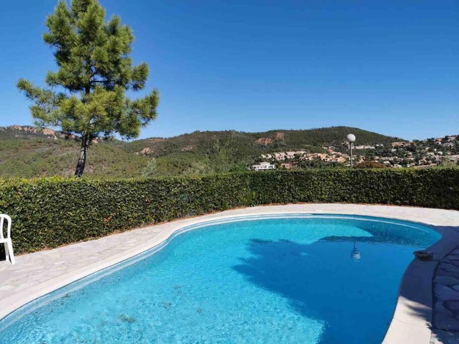 une piscine bleue avec une chaise et un arbre dans l'établissement Miramar, à Théoule-sur-Mer