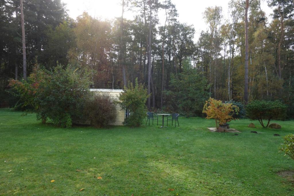 a backyard with a table and chairs in the grass at Küstenwald - Ferienzimmer kleiner Eikkater 8 in Müritz