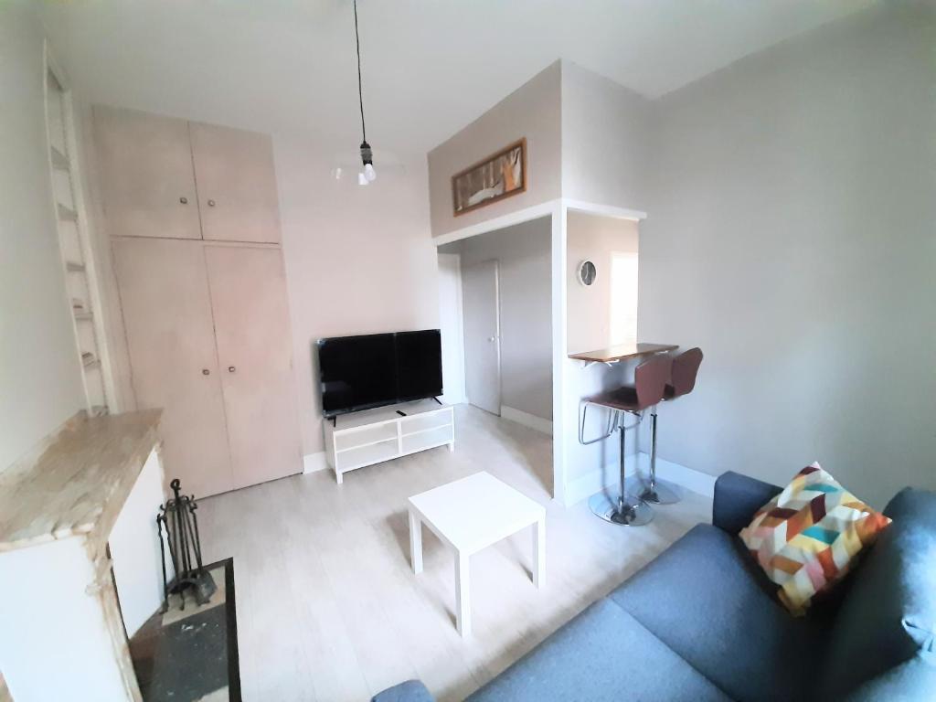 ein Wohnzimmer mit Sofa und TV in der Unterkunft Appartement Pont des Catalans in Toulouse