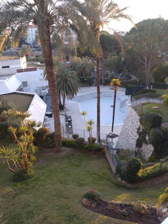 - une vue aérienne sur une piscine bordée de palmiers dans l'établissement LE TOP, à Cannes