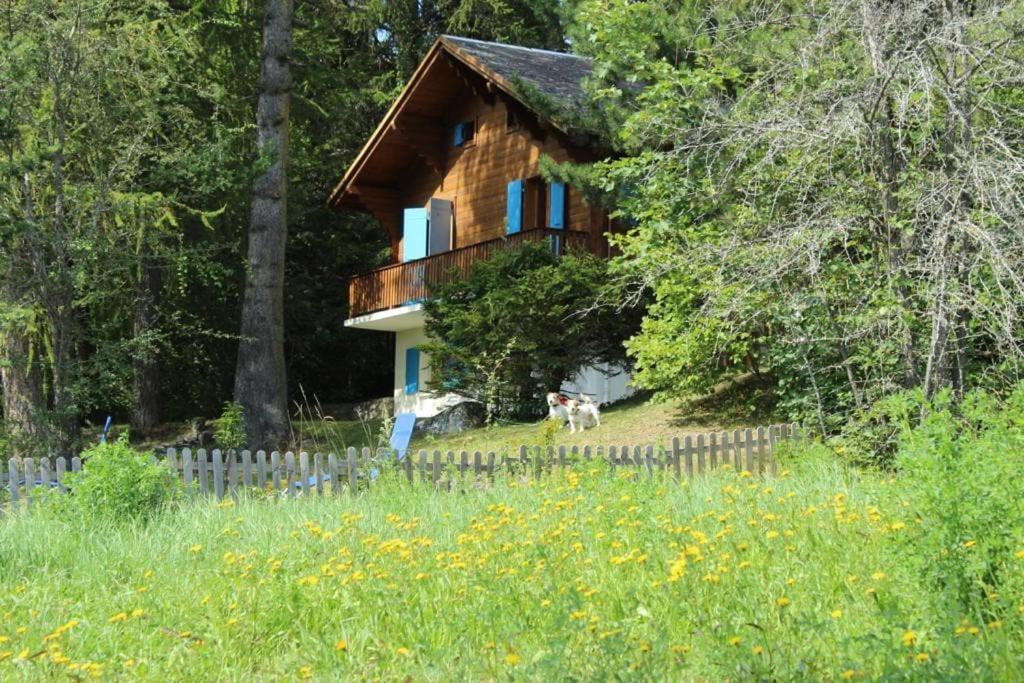 Zahrada ubytování Chalet Privé avec vue imprenable sur les alpes