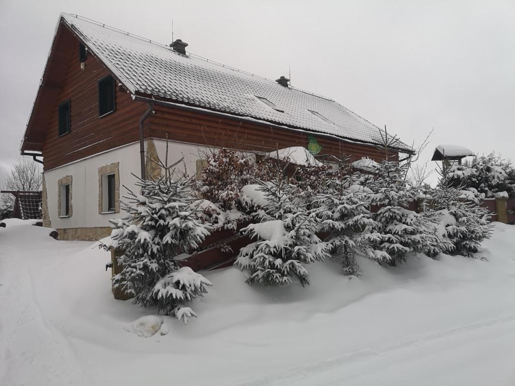 a house with snow covered bushes in front of it at Chata Nikol in Oravská Lesná
