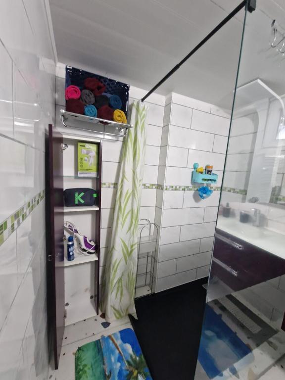bagno con doccia in vetro e lavandino di maison Samkam57 a Florange