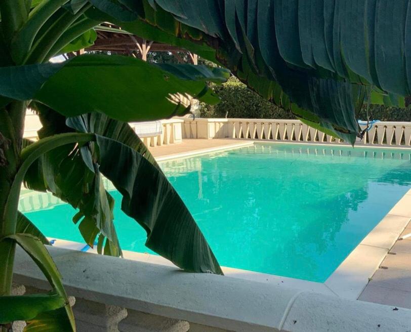 a blue swimming pool with a fence and a plant at Dugal Cottage in Chirac