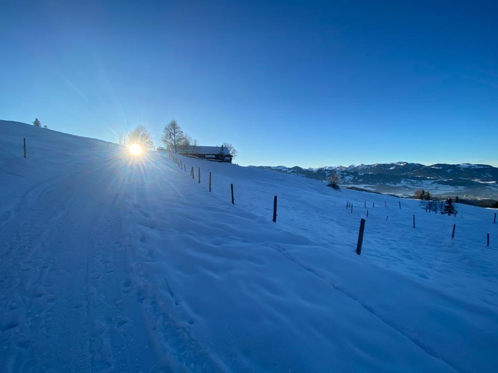 a snow covered road with the sun in the distance at Haus in den Wiesen in Burgberg