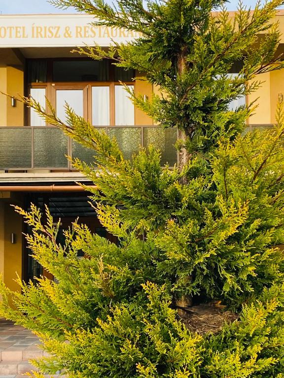 Hotel Írisz - Resim 24