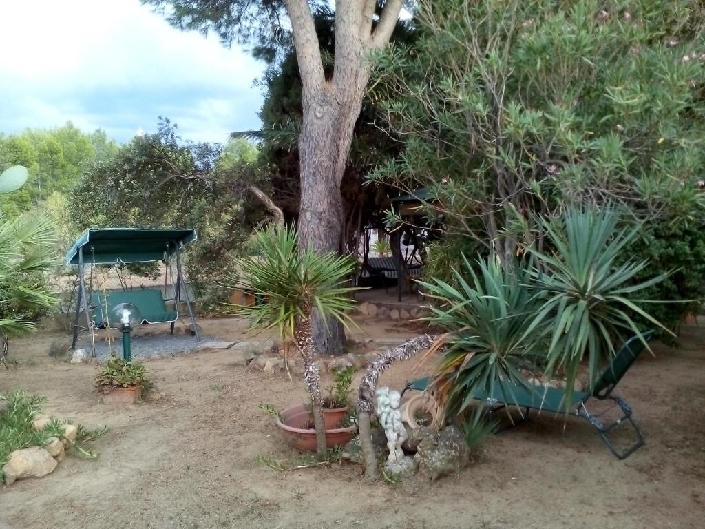 a group of plants in a yard with a tree at B&B Il Vigneto in Capoterra
