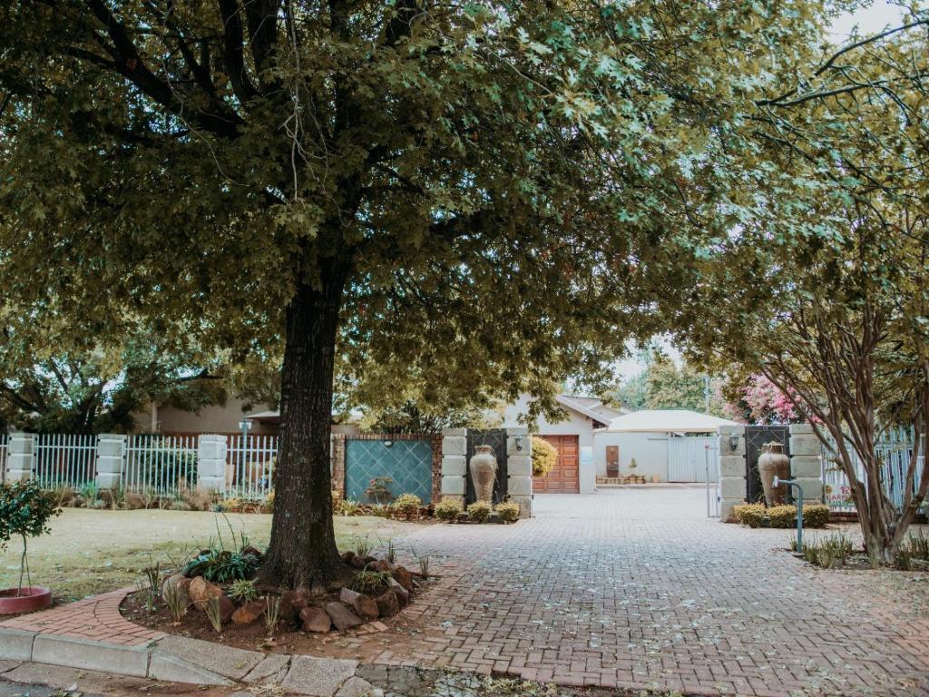 a tree in the middle of a brick road at Stay at 12 Guesthouse and Selfcatering in Middelburg