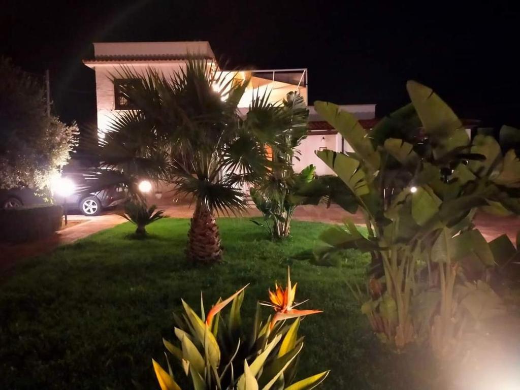 a house with palm trees in a yard at night at Casa&Mare Mazara del Vallo in Granitola