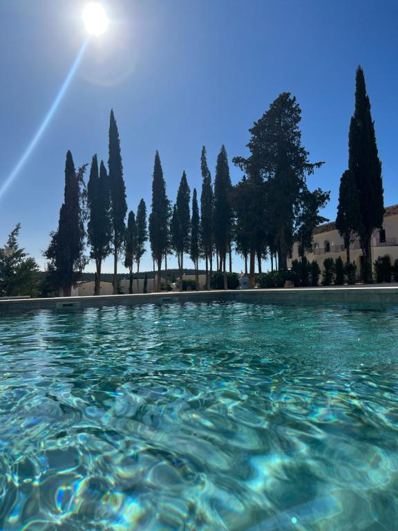 una piscina de agua con árboles en el fondo en Cortijo El Solano, en Antequera