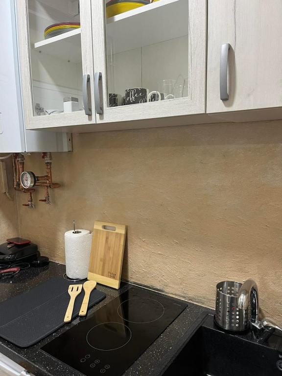 Kuchyň nebo kuchyňský kout v ubytování Apartmani Vrabac 2