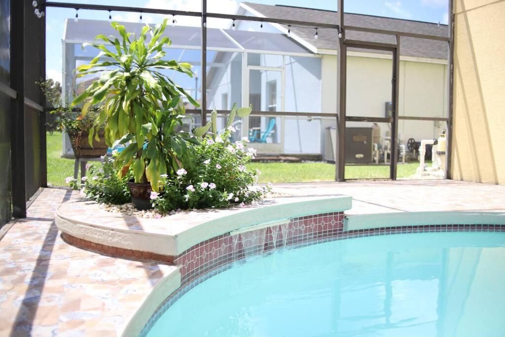 una piscina frente a una casa con plantas en NEW Sunny Escape! Enjoy TV by your Private Pool Mins from Disney en Davenport