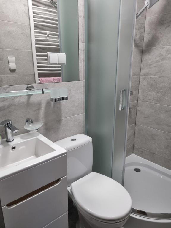 Willa "KomaNcza" Szczawnica - 12