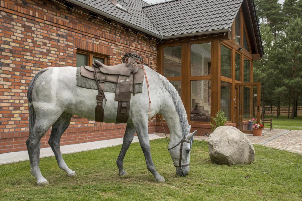 Eine Statue eines Mannes, der ein Pferd im Gras reitet. in der Unterkunft Pensjonat w Sam Las in Barnówko