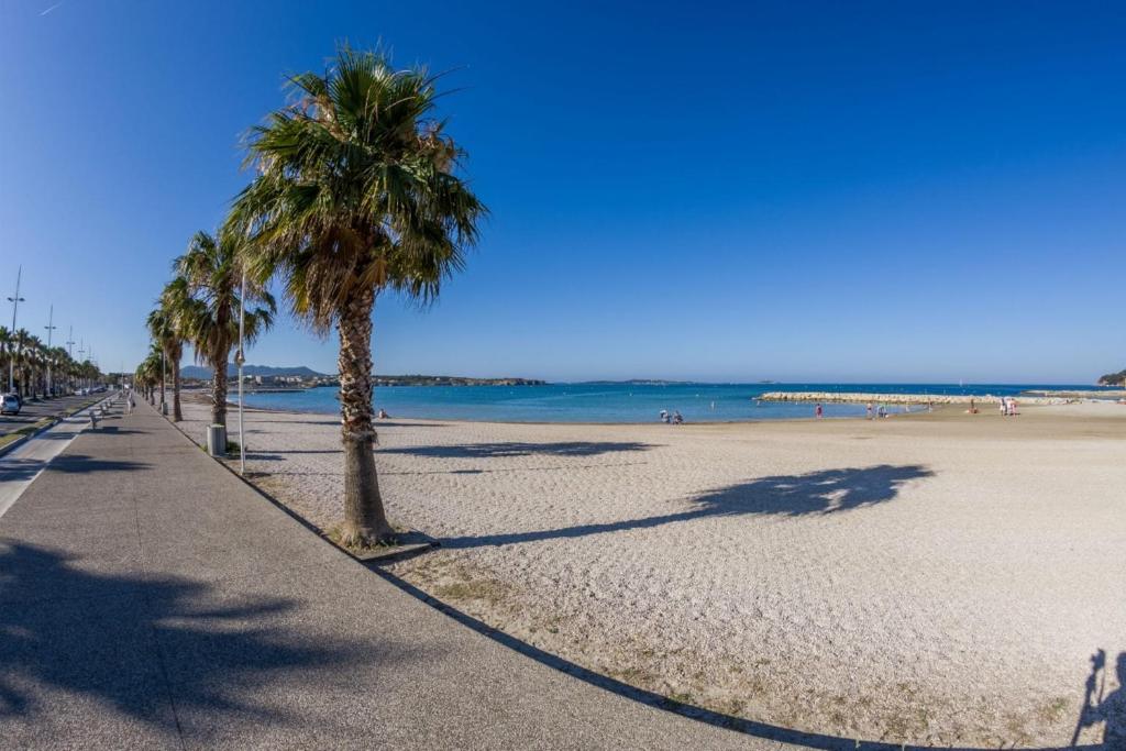 een zandstrand met palmbomen en de oceaan bij Beautiful apartment located 800 m from the Beach in Six-Fours-les-Plages