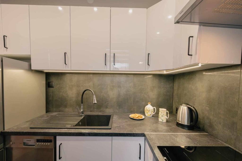 Kuchyňa alebo kuchynka v ubytovaní Apartament Pod 13
