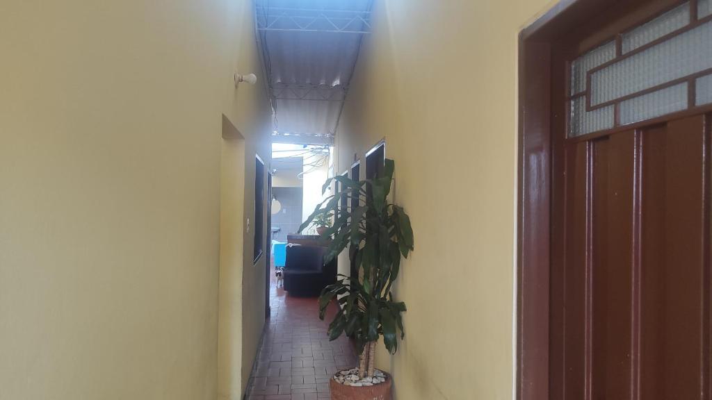 Fotografie z fotogalerie ubytování Nuevo hospedaje benny v destinaci Melgar