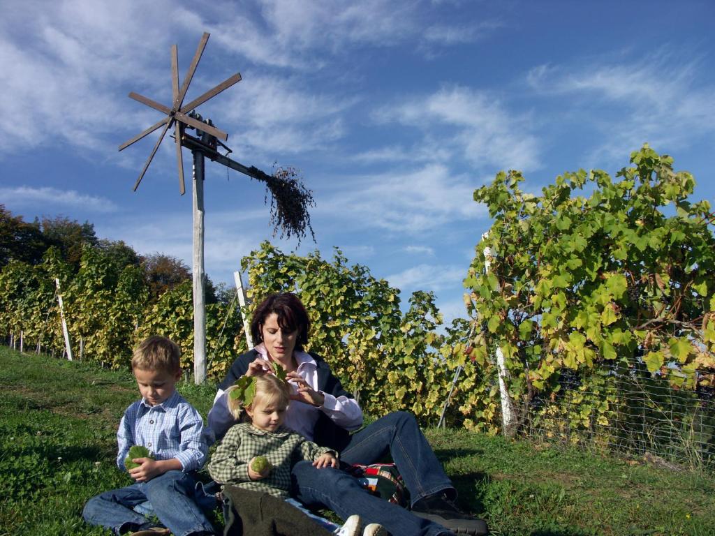 Děti v ubytování Weingut-Gästehaus Birnstingl