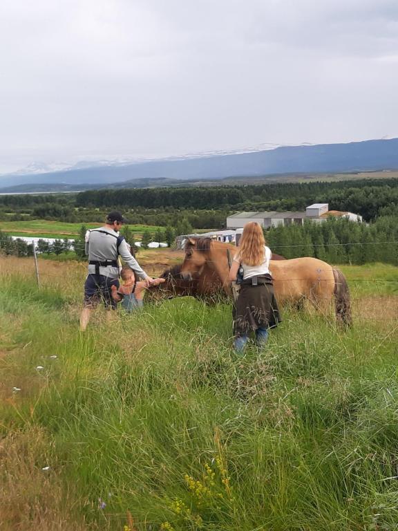 Animais in country house ou nos arredores