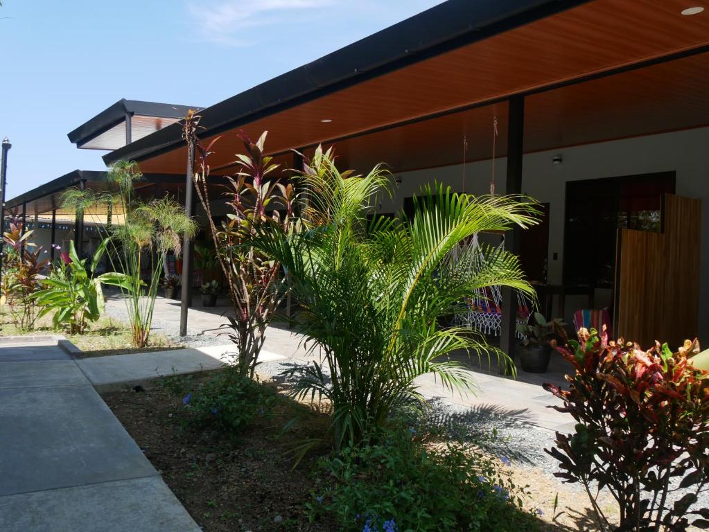 Un bâtiment avec une bande de plantes devant lui dans l'établissement Raya, à Matapalo