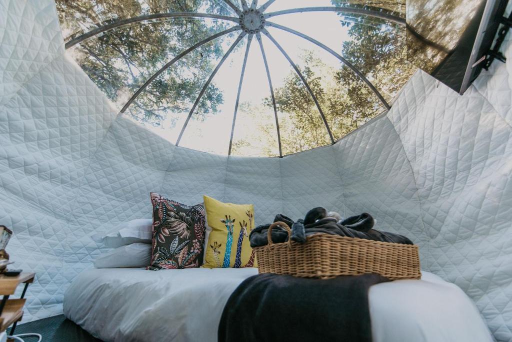 a room with a bed with shoes in a tent at The Cacoon by Once Upon a Dome @ Misty Mountain Reserve in Stormsriviermond