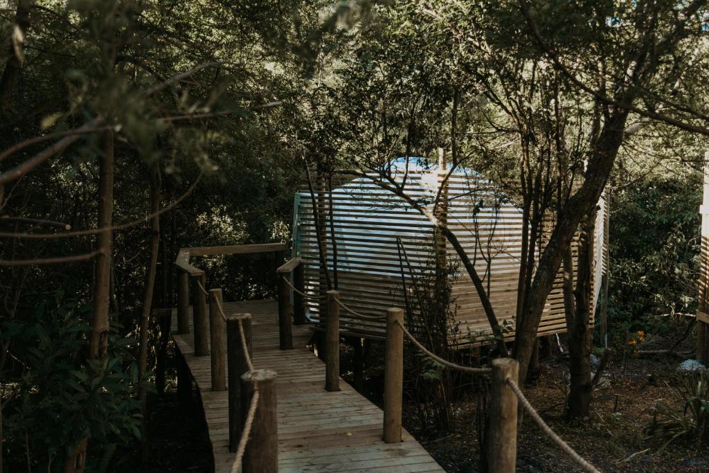 Zahrada ubytování The Forest Dome Tsitsikamma