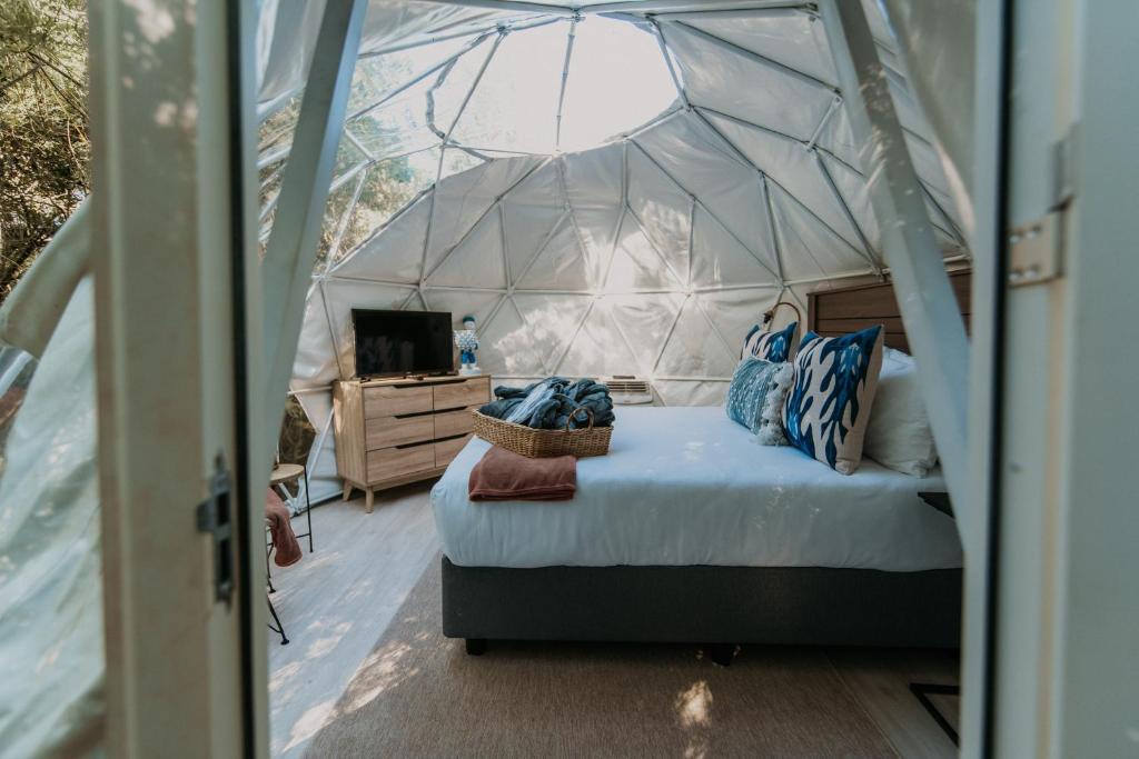 ein Schlafzimmer mit einem Bett in einem Zelt in der Unterkunft The Forest Dome by Once Upon a Dome @ Misty Mountain Reserve in Stormsriviermond