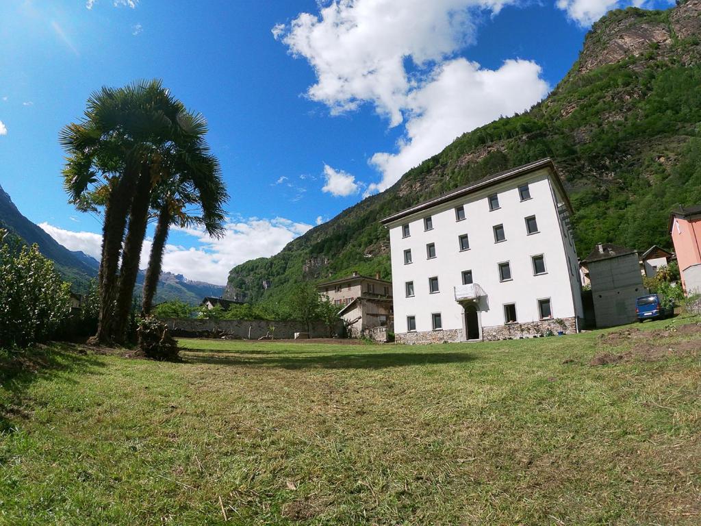 a white building with a palm tree next to a mountain at Casa Gatti BnB Gastronomia e Benessere in Motto