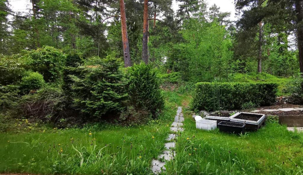 Fotografie z fotogalerie ubytování Holmenkollen Forest House free parking v Oslu