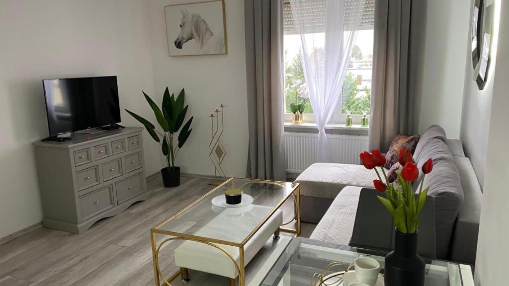 a living room with a couch and a tv at Apartament Gdańska 230 in Bydgoszcz