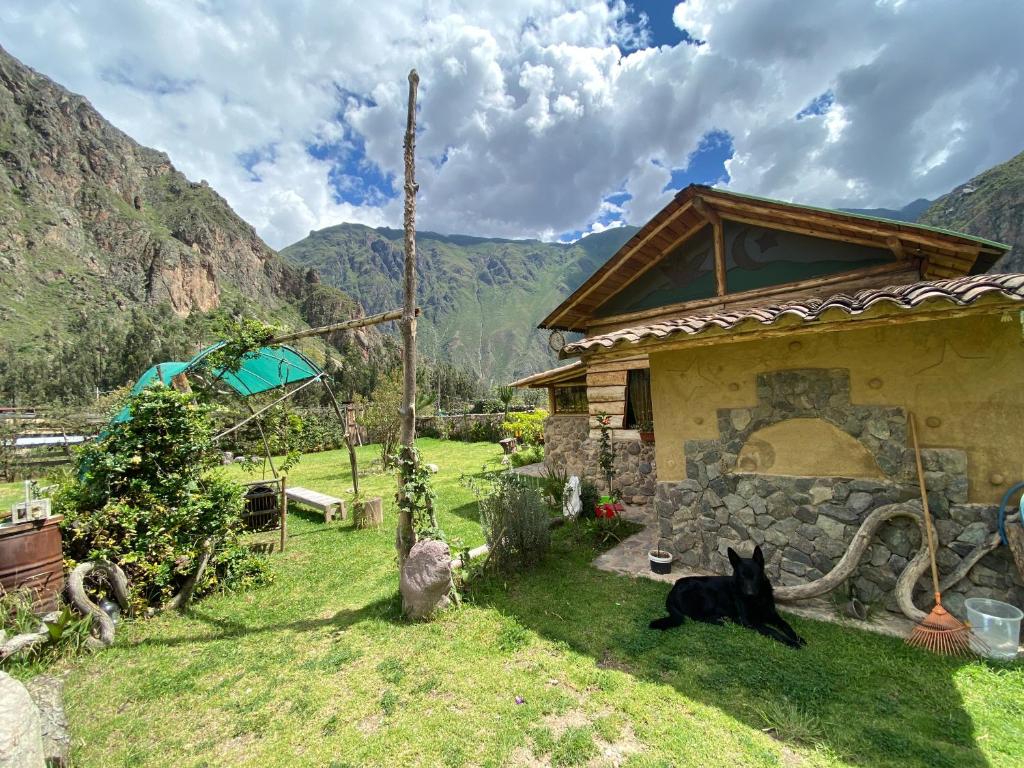 a black cat laying in the grass next to a house at Eco hause Ollantaytambo in Ollantaytambo