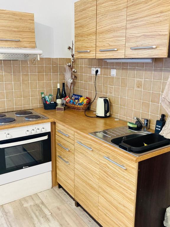 Kuchyň nebo kuchyňský kout v ubytování Apartmán v zahradě Malšovice