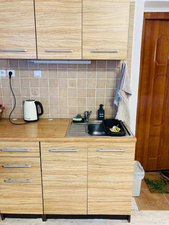 Kuchyň nebo kuchyňský kout v ubytování Apartmán v zahradě Malšovice