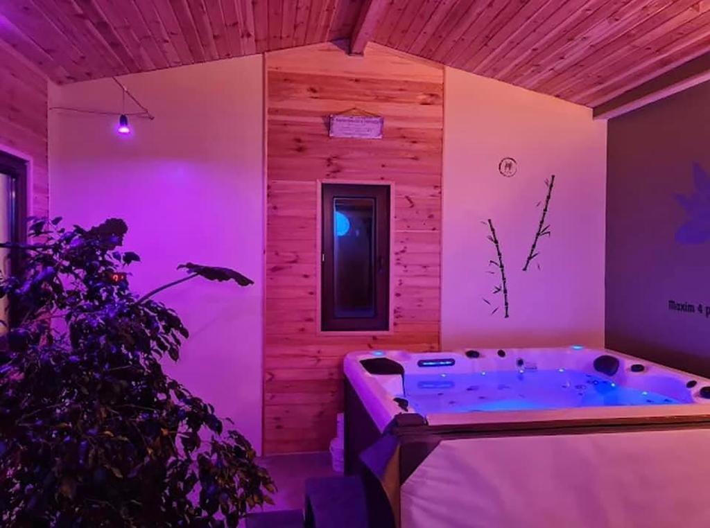 a room with a hot tub and a plant at La Maison des Rêves - Bran in Bran