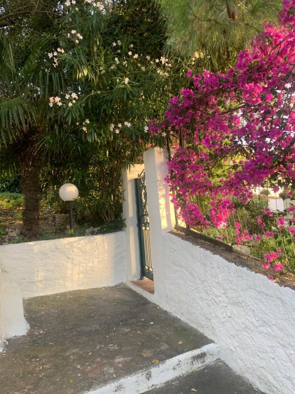 Attico con terrazzo e finestre sulla baia di Peschici