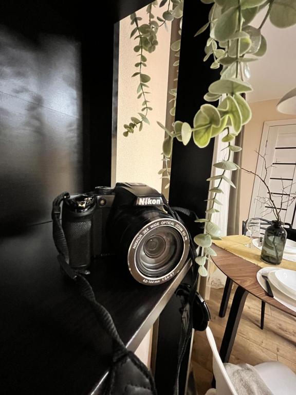 Fotografie z fotogalerie ubytování New Charm Apartments near Border v destinaci Narva