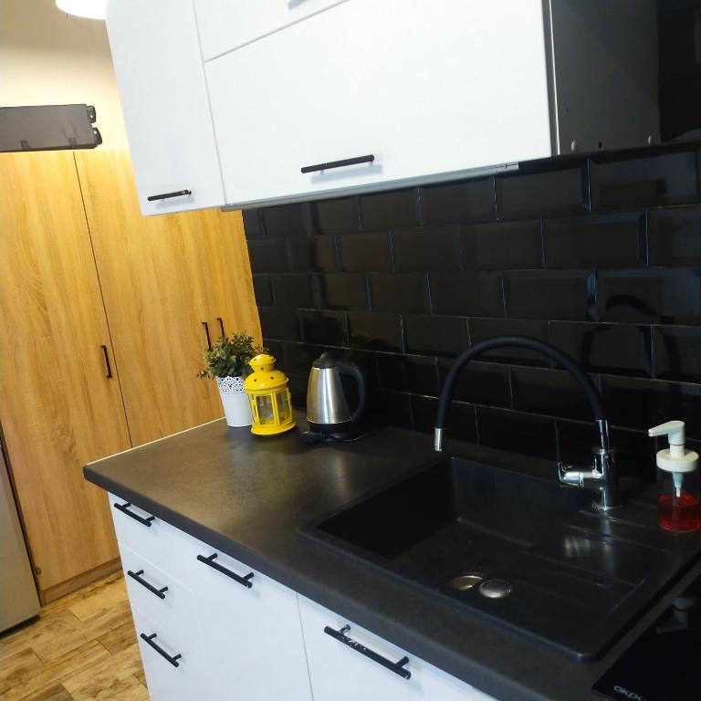 Kuchyňa alebo kuchynka v ubytovaní Black House