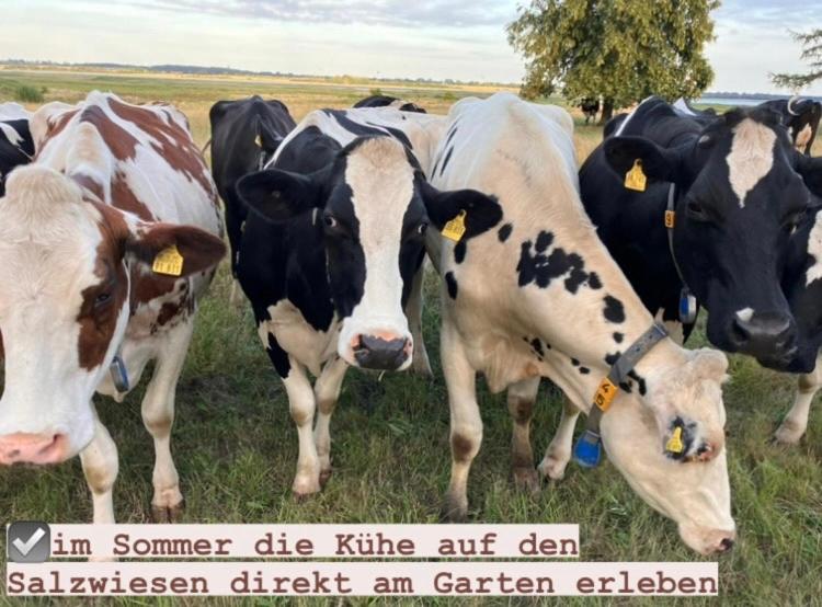 Fotografie z fotogalerie ubytování Auszeit im Privatzimmer an den Salzwiesen mit gemeinsamer Küche und Eingang v destinaci Insel Poel