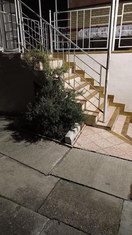 un escalier avec une brousse à côté d'un bâtiment dans l'établissement Stan na dan Kamenički park, à Sremska Kamenica